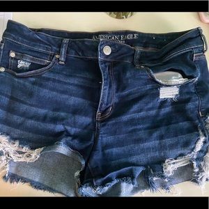 American Eagle Next Level Stretch Festival Shorts